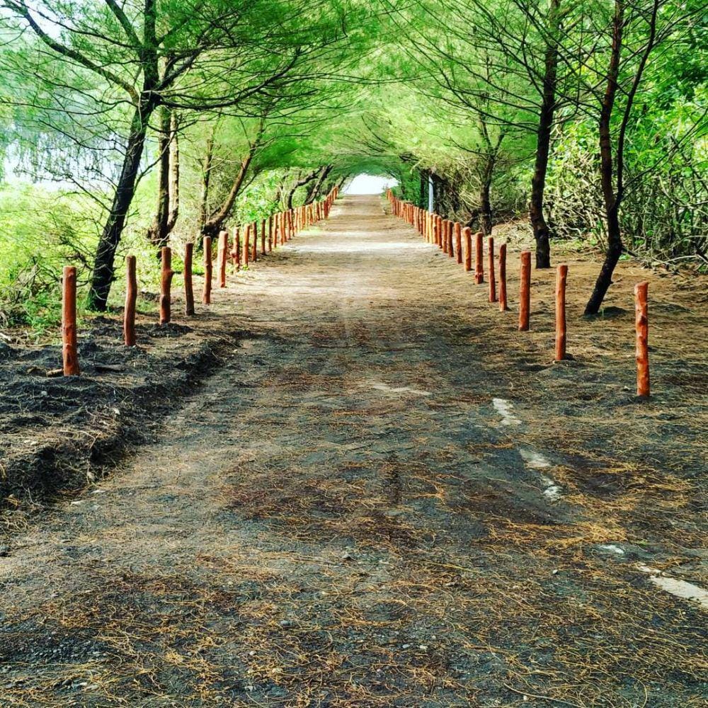 instagram.com/pantai_goacemara