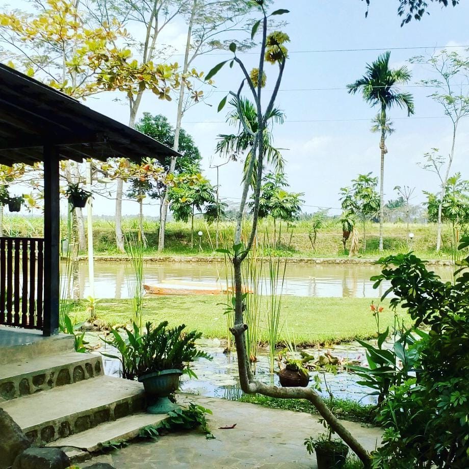 Instagram.com/primahapsari83