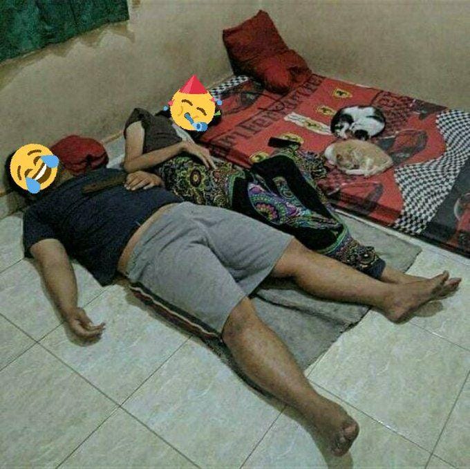 Twitter.com/animalfess