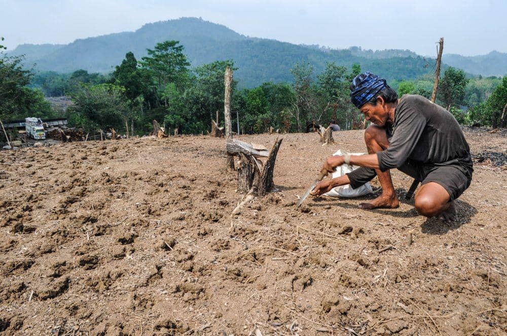 Warga Suku Baduy membuat lubang menggunakan golok untuk menanam benih kencur di Desa Kanekes, Lebak, Banten, Senin (2/9/2019). Memasuki musim tanam warga Suku Baduy mulai menggarap padi huma untuk menanam benih sayur dan palawija yang dilaksanakan sesuai kalender adat pada bulan September-Oktober. ANTARA FOTO/Muhammad Bagus Khoirunas