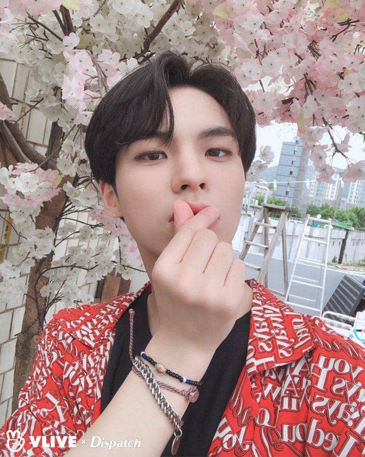 twitter.com/dispatchsns