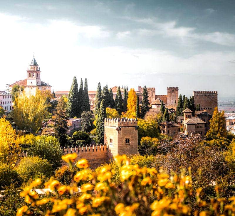 instagram.com/thetravelertwins