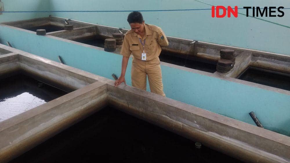 IDN Times/Oetoro Aji