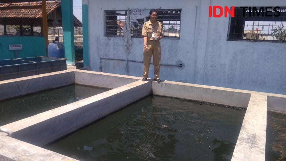 IDN Times/Oetoro Aji