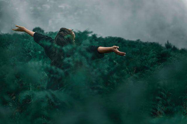 Pexels/Kourosh Qaffari
