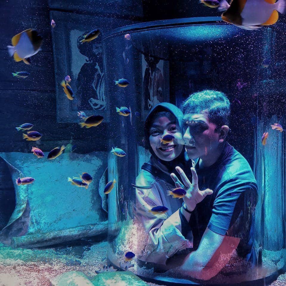 Instagram.com/ardanaff