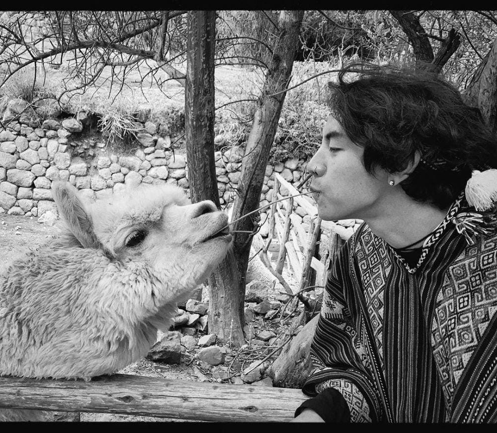 instagram.com/dprian