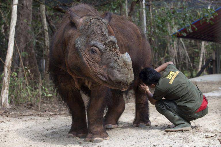mongabay.com