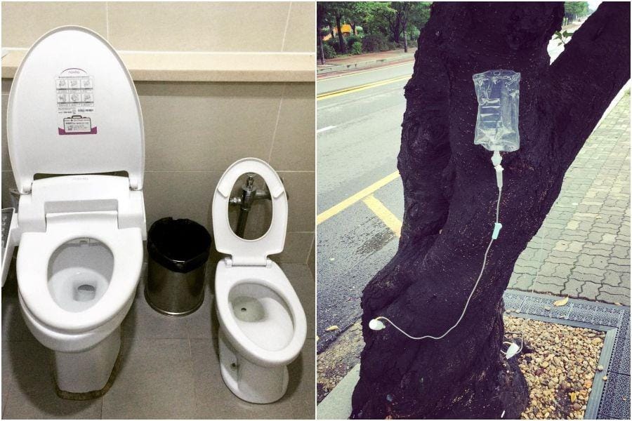 instagram.com/steveshin / instagram.com/kellydoesit