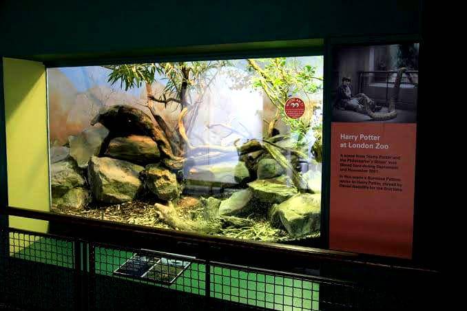 flickr.com/Karen Roe