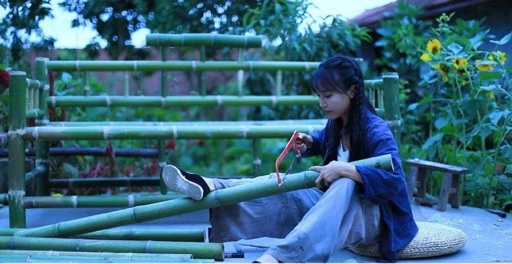 Vlogger Li Zi Qi: Sajikan Budaya Tradisional China ke Dunia Modern