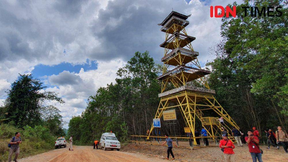 Lokasi yang akan dikembangkan menjadi ibu kota negara di kawasan Sepaku, Penajam Paser Utara (IDN Times/Mela Hapsari)