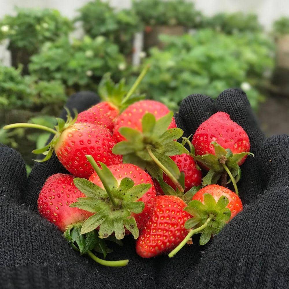 instagram.com/jiweun