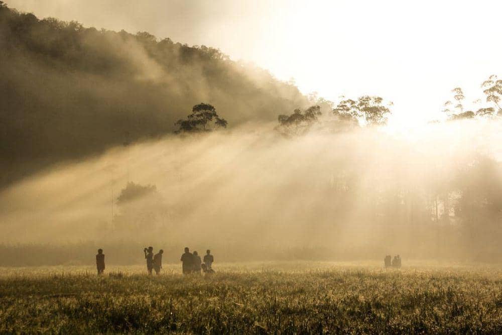 instagram.com/donskry via @ranca_upas