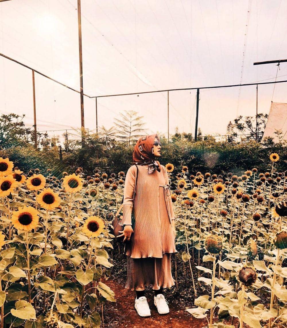 instagram.com/bellattamimi