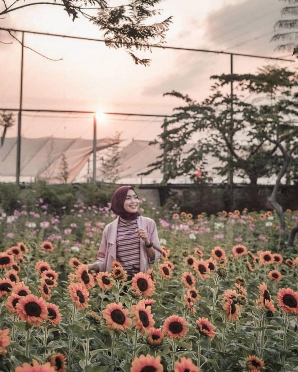 instagram.com/chitraachiet