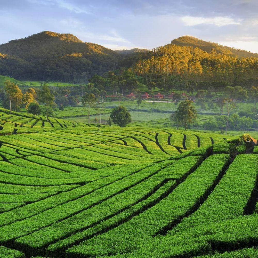 instagram.com/pesonaid_travel