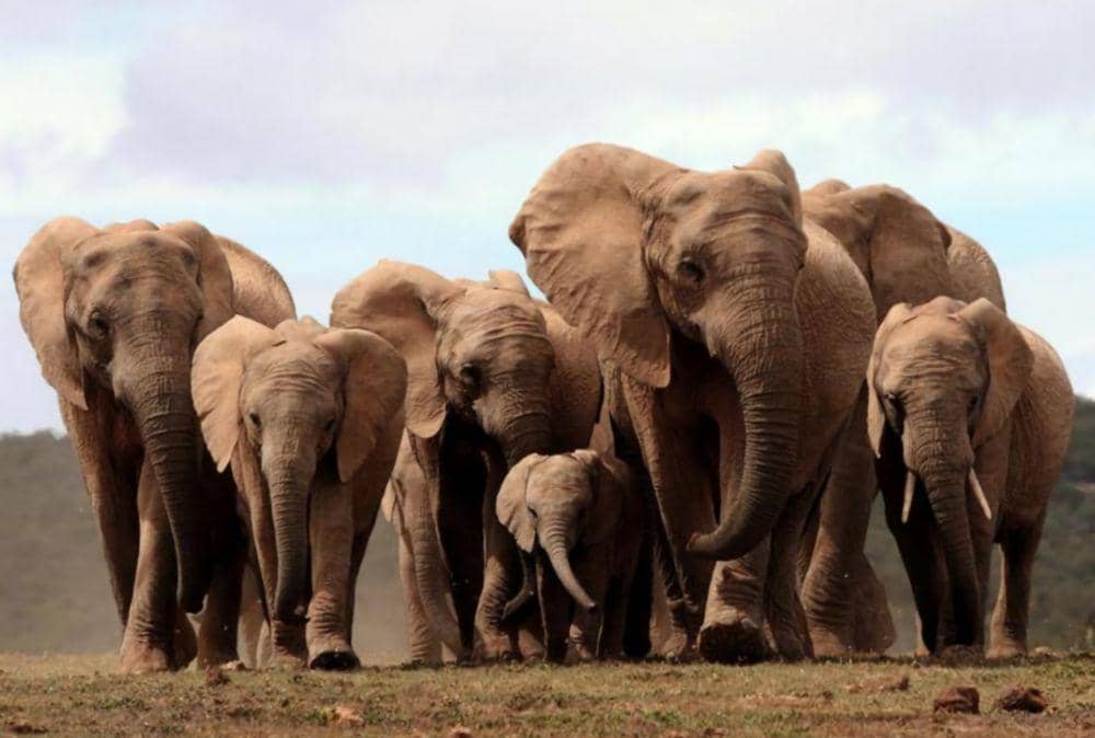 admin. Absolutelyconnected.com