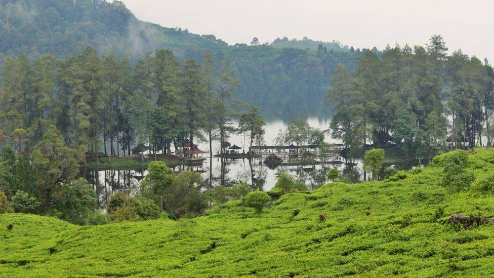 Dok. Pribadi/Intan Deviana