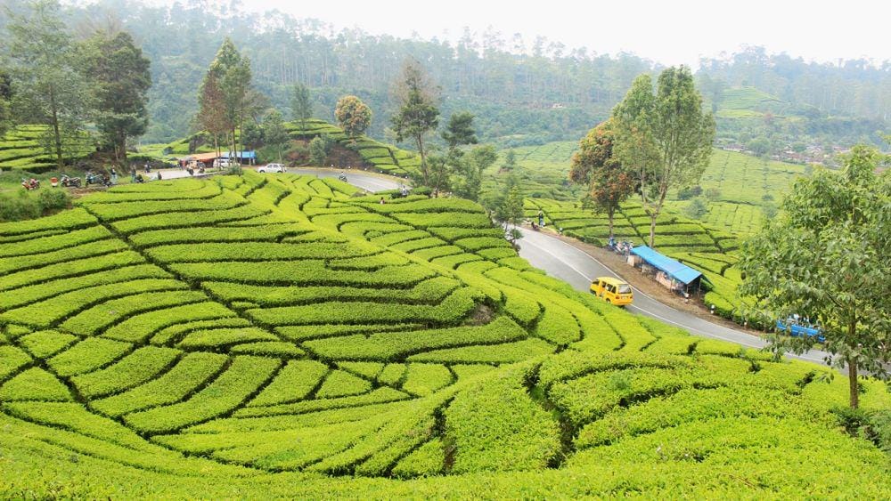 Dok. Pribadi/Intan Deviana