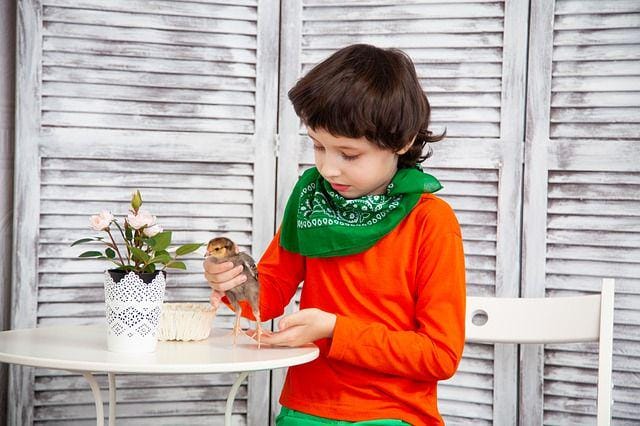 Pixabay.com/Victoria_Borodinova