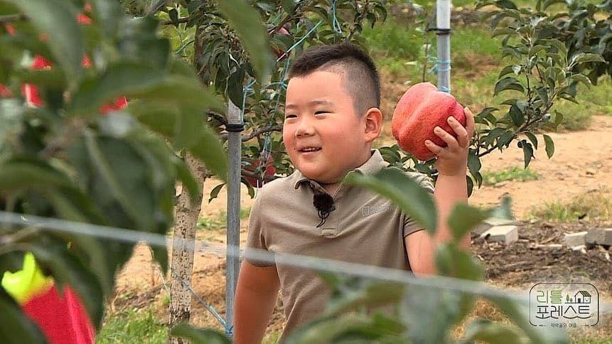 picpanzee.com/seunggi_iran