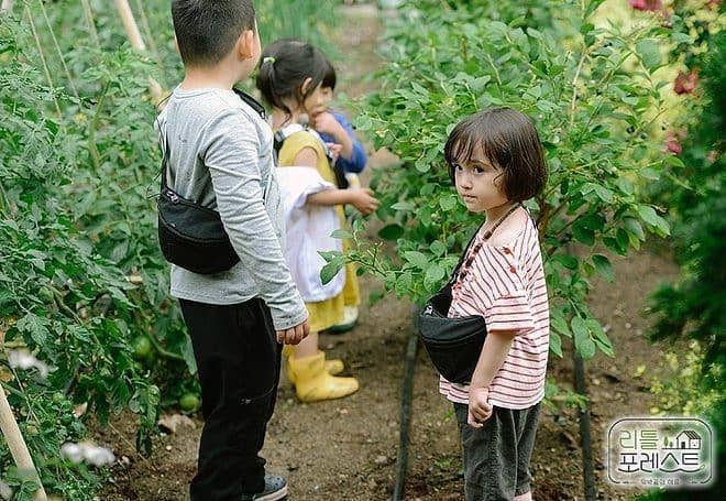 picpanzee.com/seunggi_iran