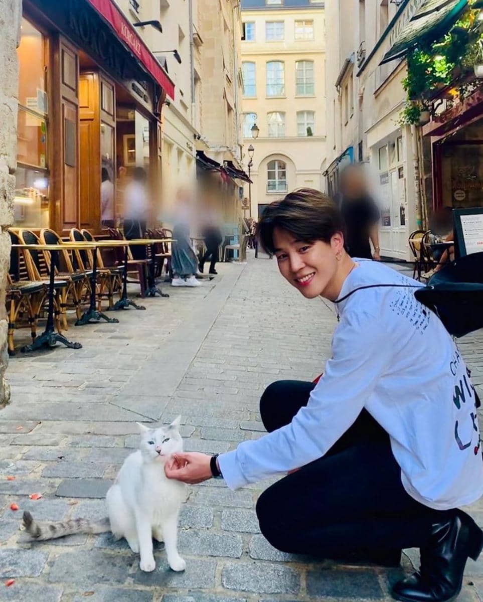 Jimin dan kucing