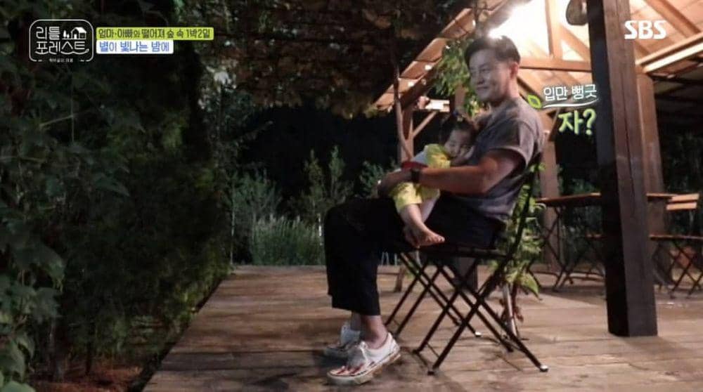 picpanzee.com/sbs_little_forest