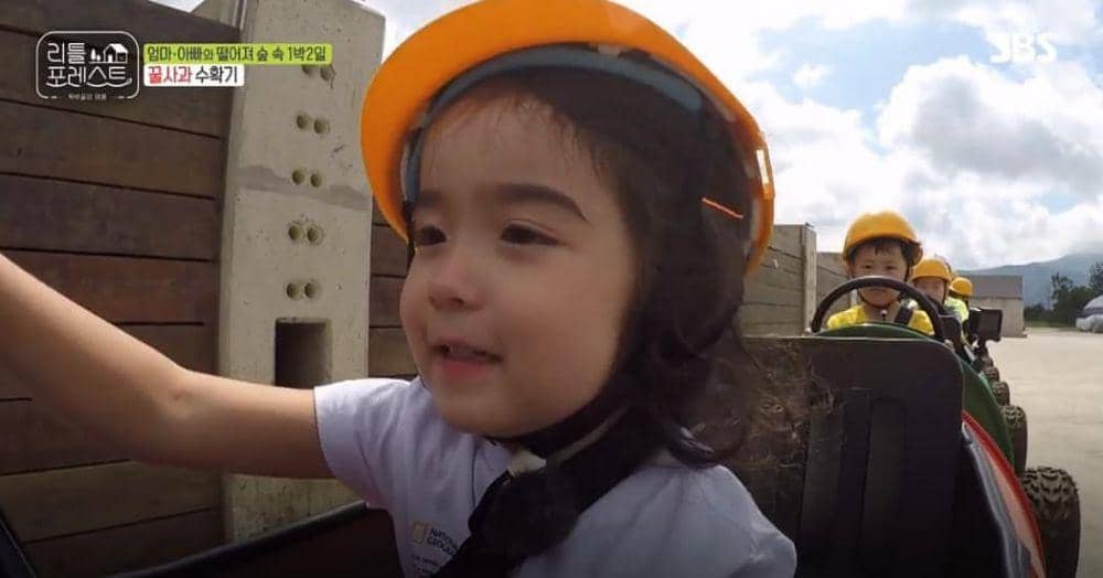 picpanzee.com/sbs_little_forest