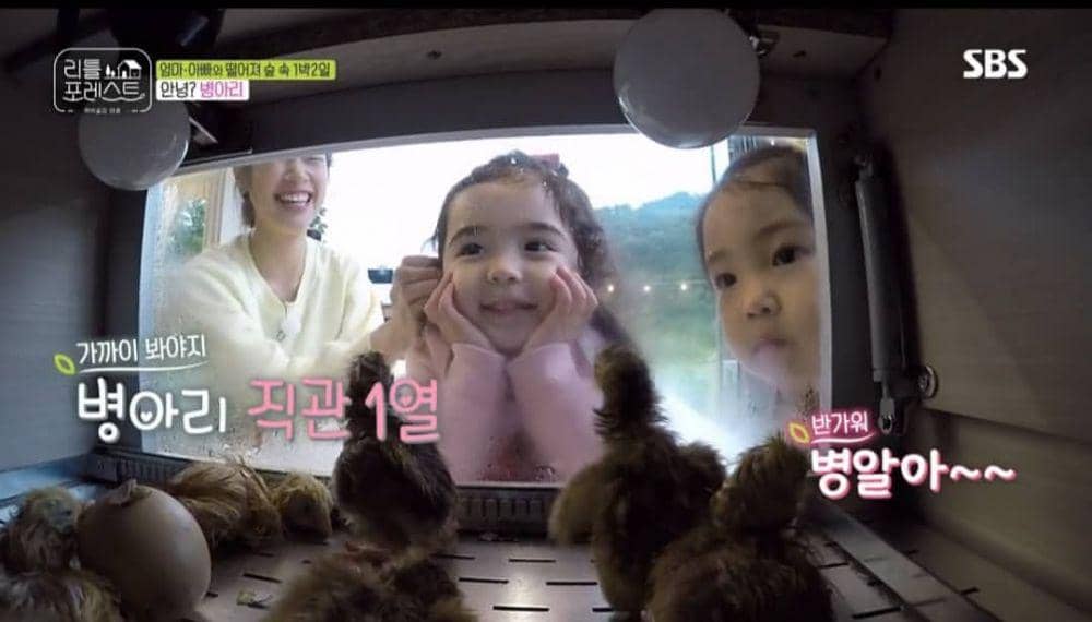 picpanzee.com/sbs_little_forest