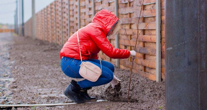 unsplash.com/lubomirkin