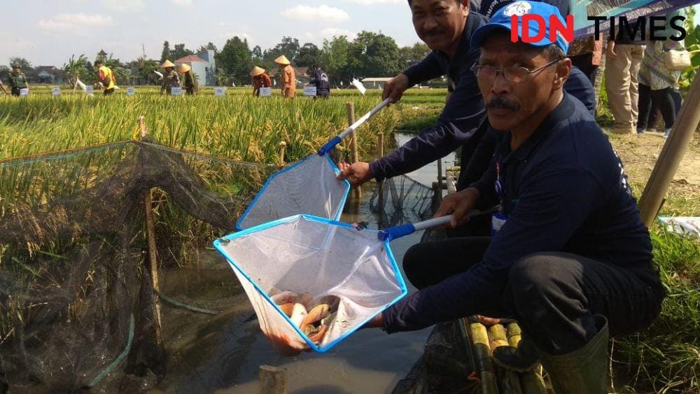 IDN Times/Daruwaskita