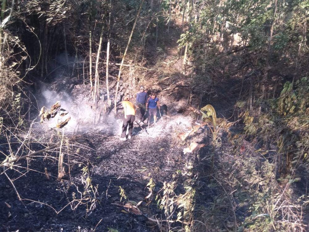 Dok.IDN Times/Istimewa