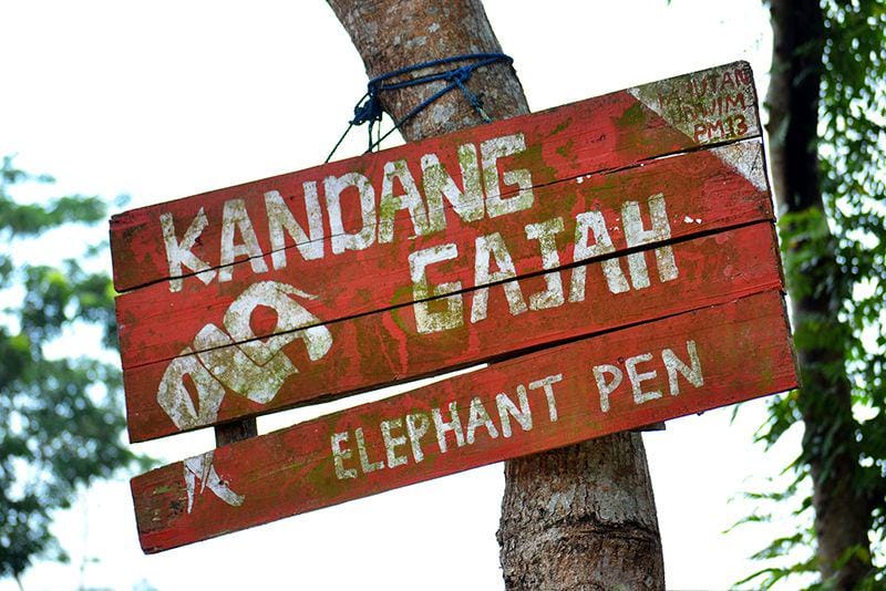 Dok. Pribadi/RennyFitri