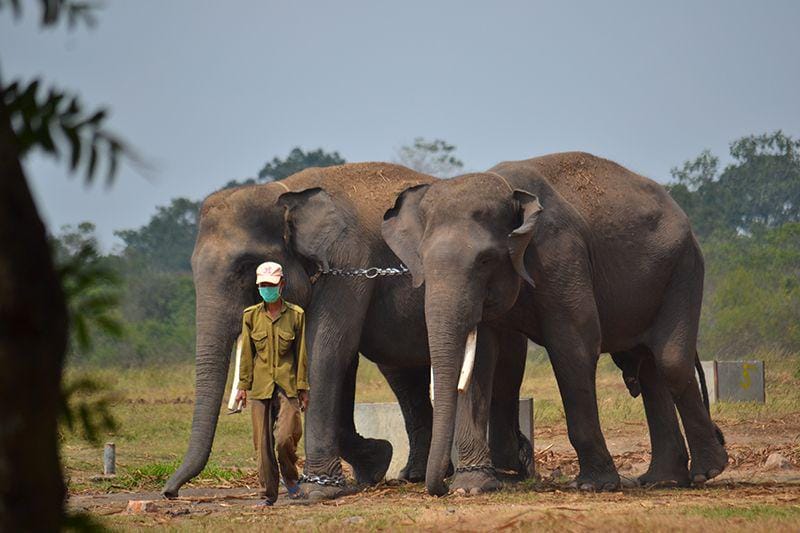 Dok. Pribadi/RennyFitri