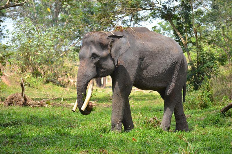 Dok. Pribadi/RennyFitri