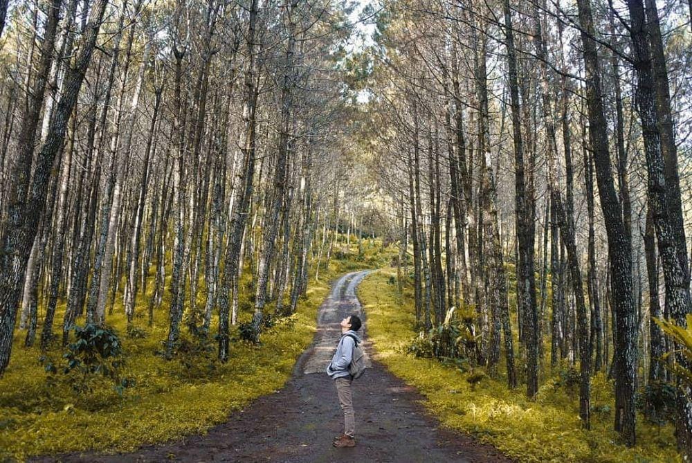 instagram.com/samiajitaufik