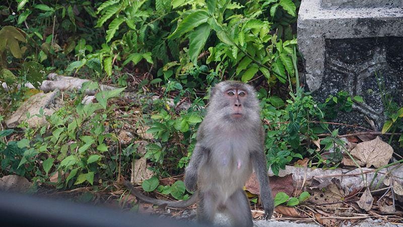 Dok. Pribadi/RennyFitri