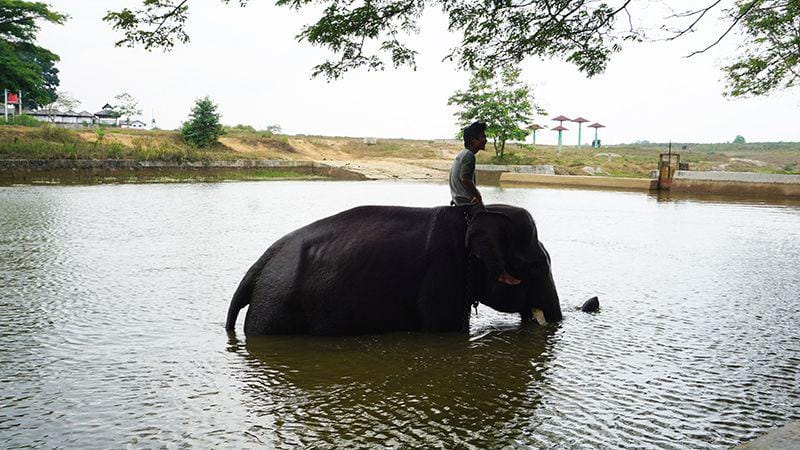 Dok. Pribadi/RennyFitri