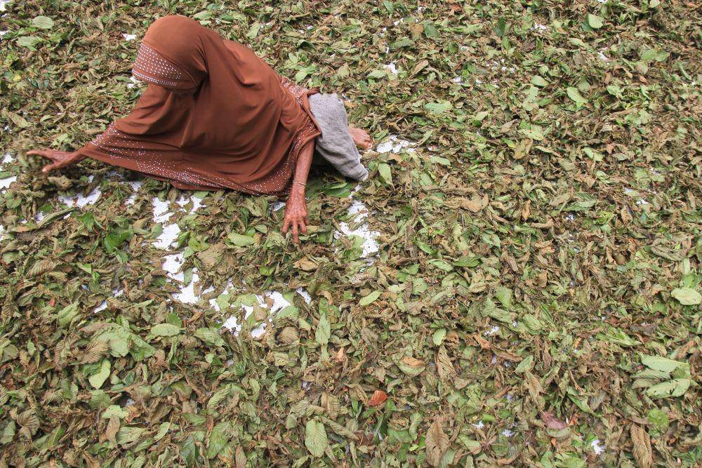 ANTARA FOTO/Syifa Yulinnas