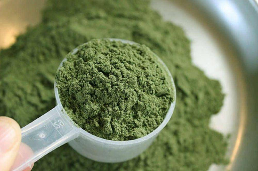 Daun kratom yang telah diolah menjadi bubuk. hellosehat.com