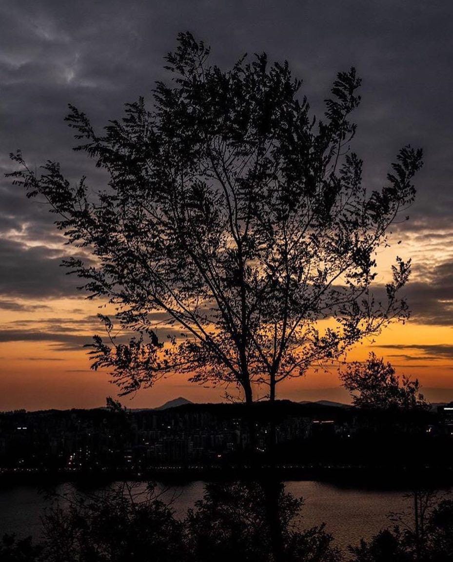 Instagram/seongwucam