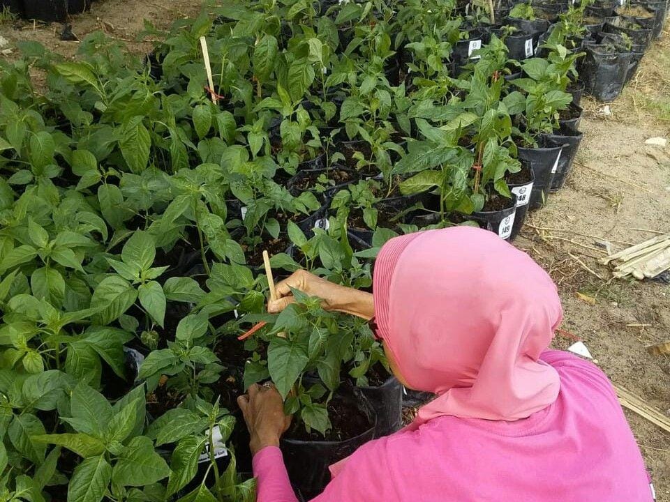 Bank Indonesia Balikpapan