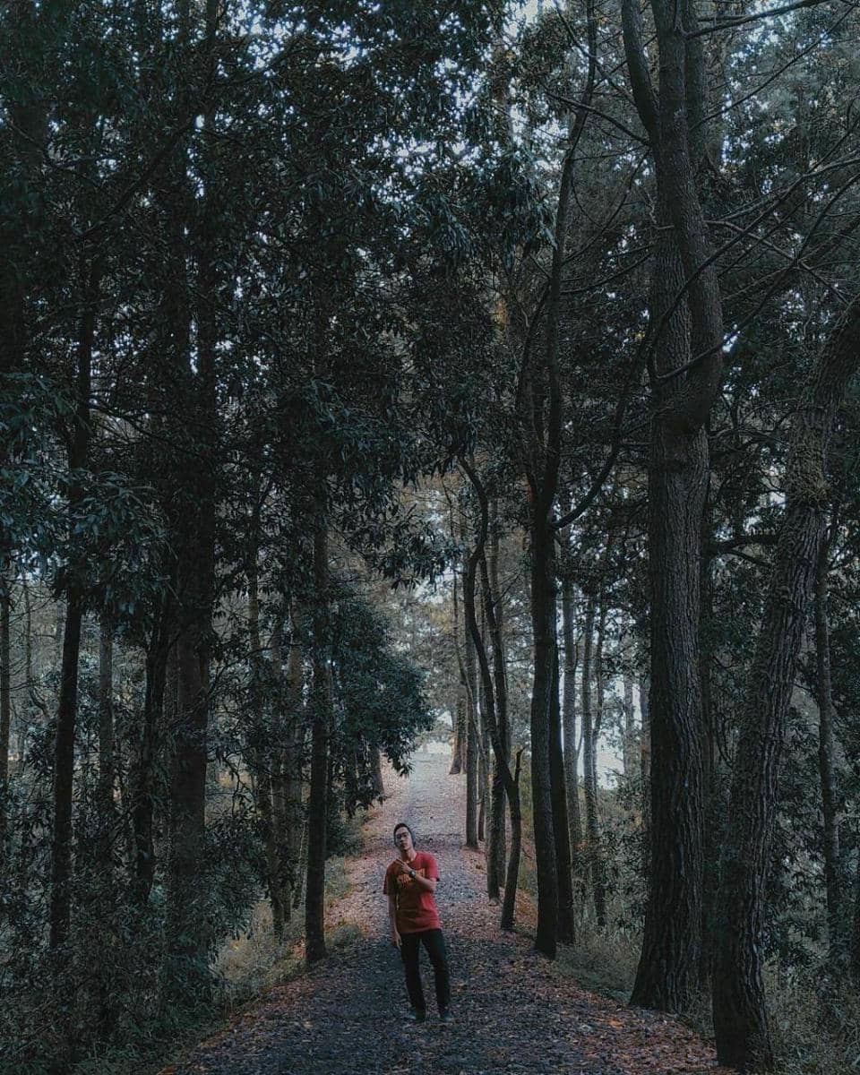 instagram.com/topi_jerami97