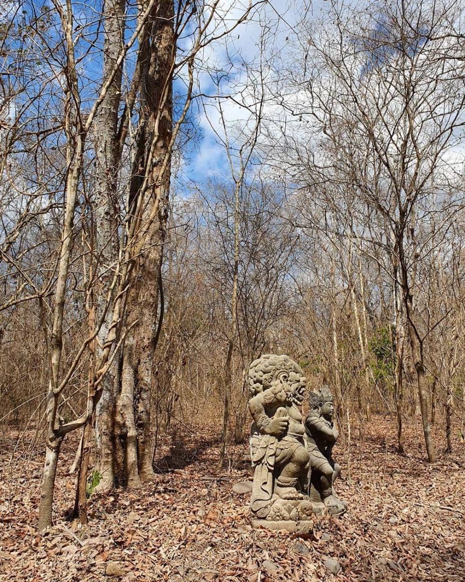 instagram.com/nicholassaputra