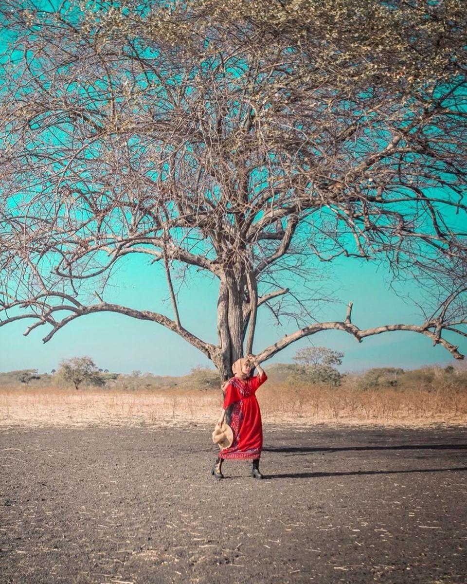 instagram.com/rizmazara