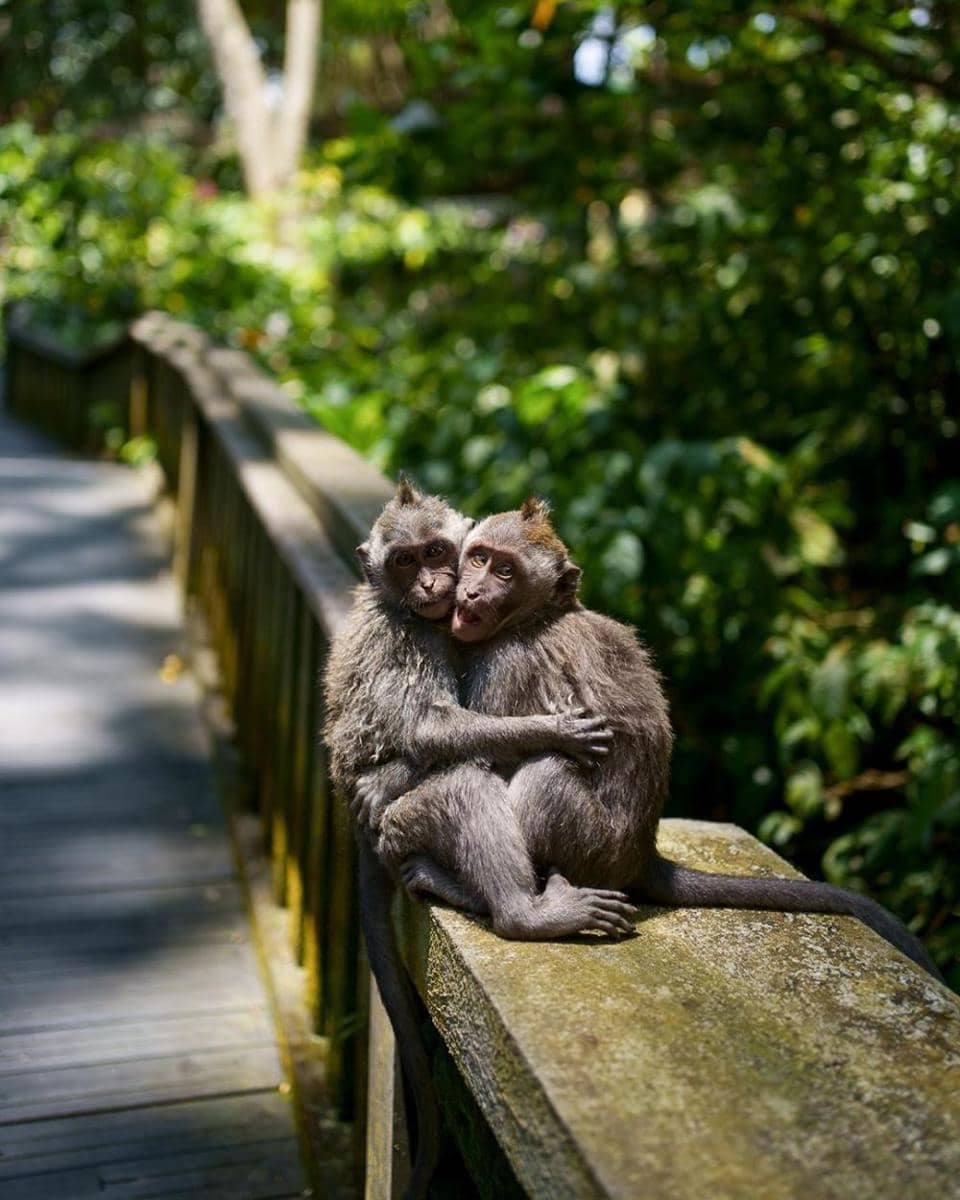 instagram.com/ethanlucioni