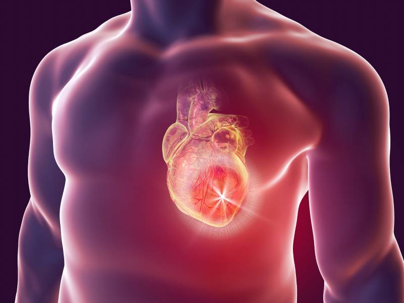 heart.org