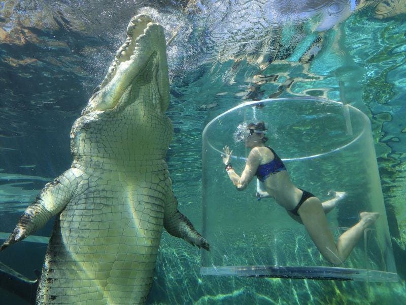 tourismtopend.com.au